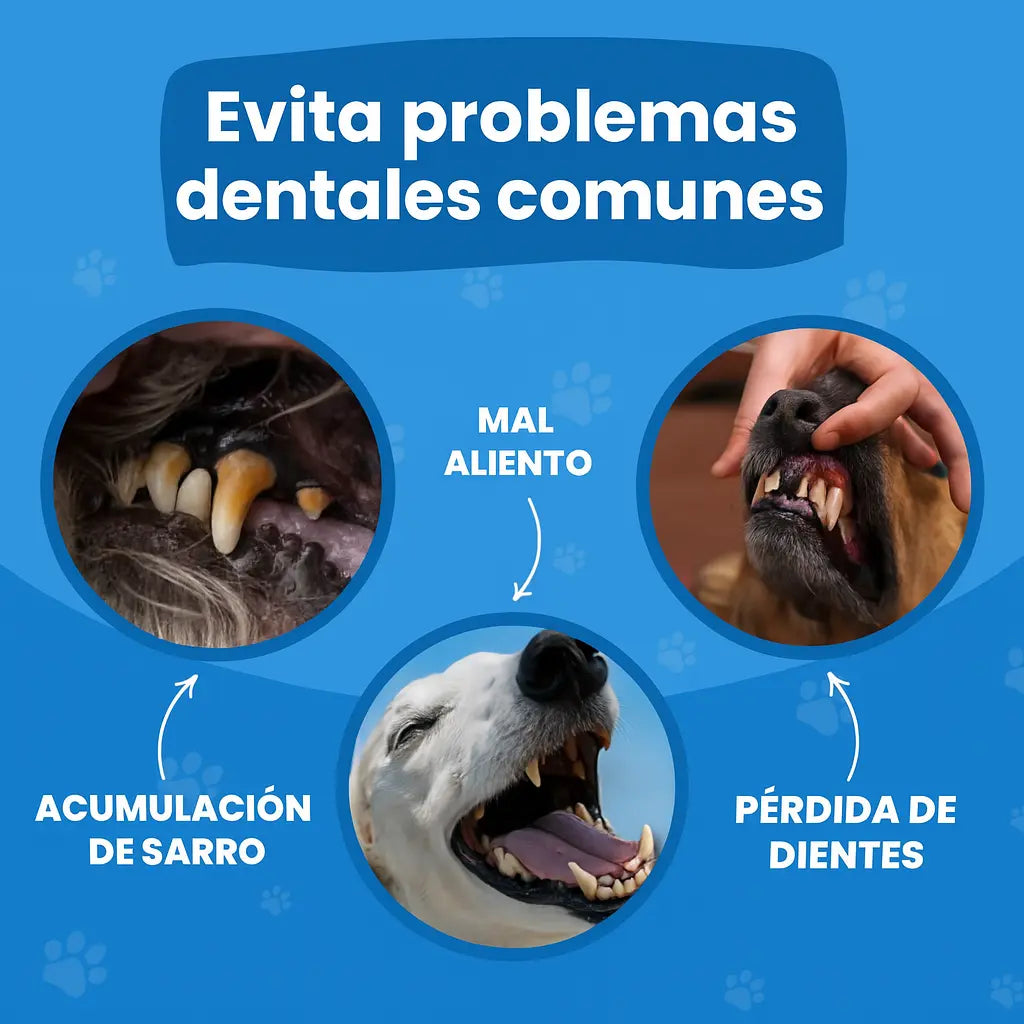 Toallitas Dentales Naturales para Mascotas 2X1 - (100pcs)