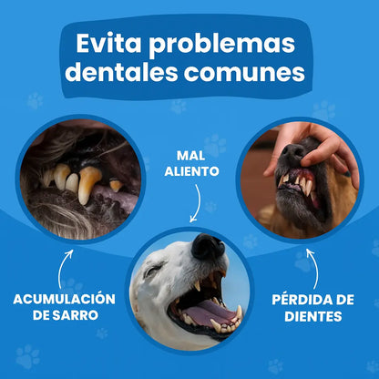 Toallitas Dentales Naturales para Mascotas 2X1 - (100pcs)