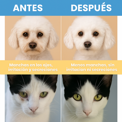 Toallitas de Ojos para Mascotas 2X1 – (200 Unidades)
