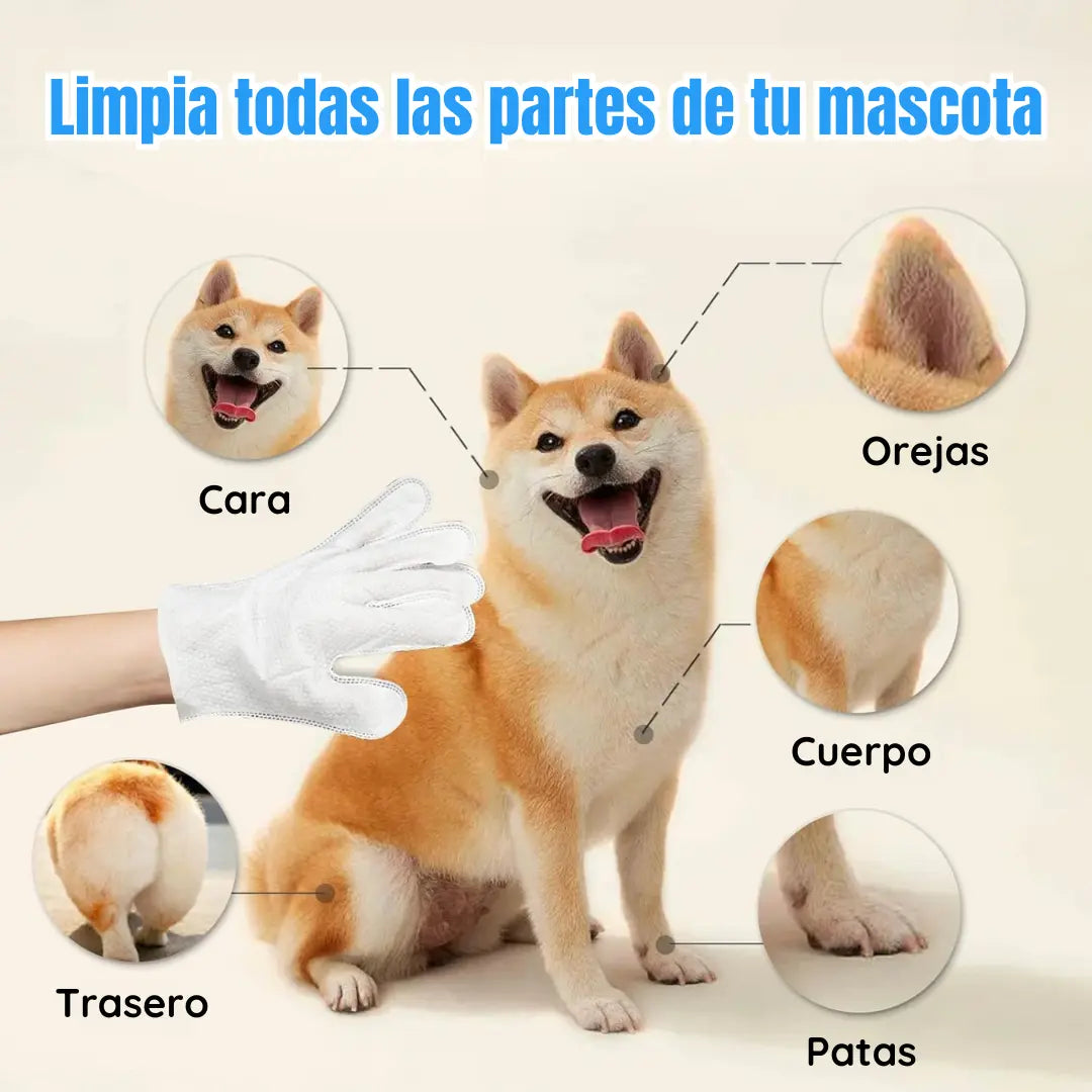 Guantes de Limpieza y Desodorización para Mascotas – 1+1 Gratis (40 Guantes)